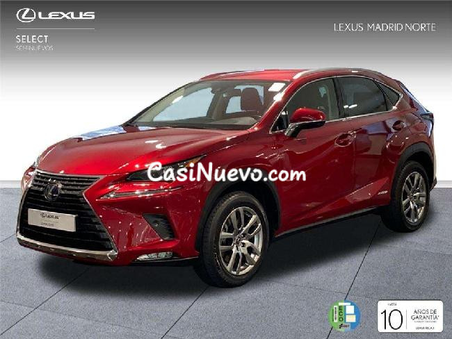 Lexus Nx 450h+ Suv Executive 4wd 2.5 Hbrido Gasolina (197cv) Tr '20