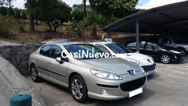 Peugeot 407 ST SPORT HDI 136 '04