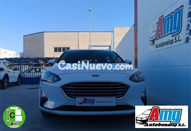 FORD - Focus - Berlina Trend+ 1.5 EcoBlue 88 kW