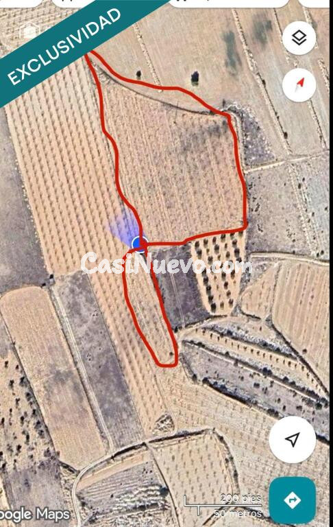 EXCLUSIVA OPORTUNIDAD – PARCELAS RÚSTICAS EN CASAS DE SANCHIS (MONOVAR)