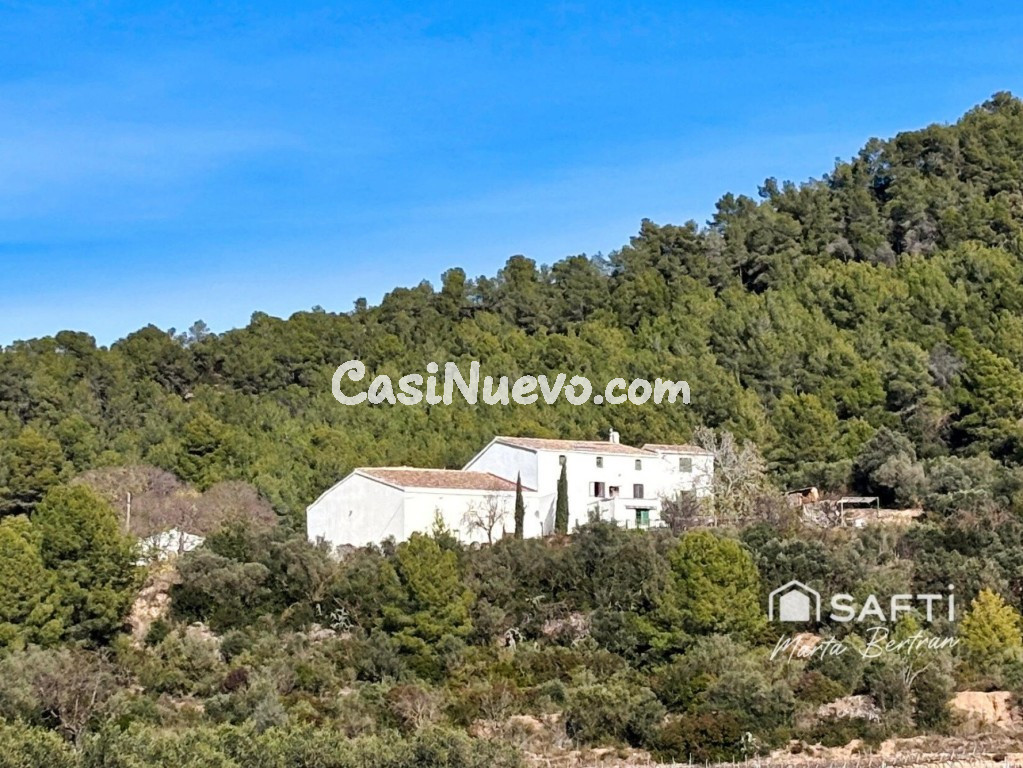 Masa histrica con olivar en produccin y explotacin de uso turstico.