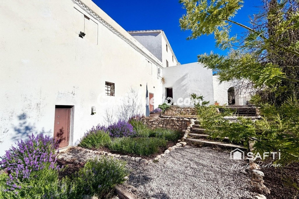 Masa histrica con olivar en produccin y explotacin de uso turstico.