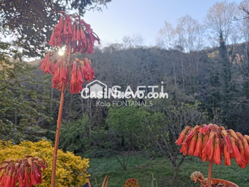 EN VENTA  AUTENTICA MASIA CATALANA DEL 1730