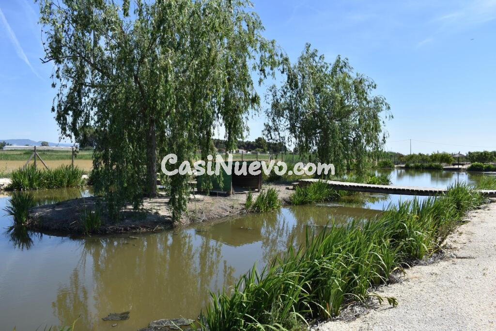 Magnifica finca rustica en el Parque natural del Delta del Ebro!