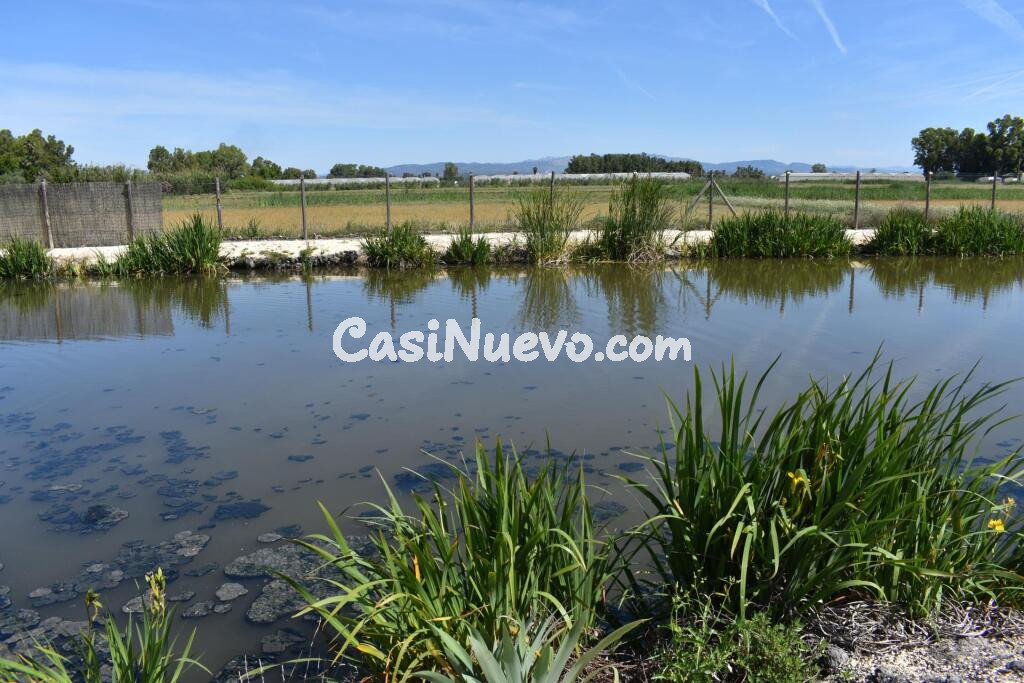 Magnifica finca rustica en el Parque natural del Delta del Ebro!
