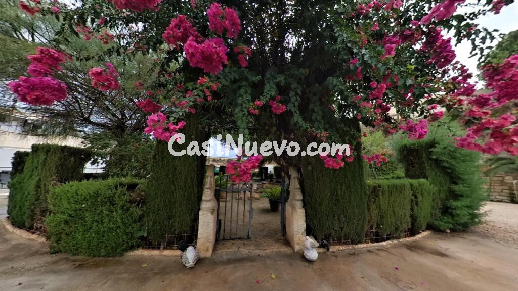 Campo nico en Elda, una joya por descubrir