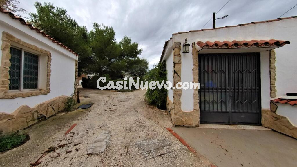 Campo nico en Elda, una joya por descubrir