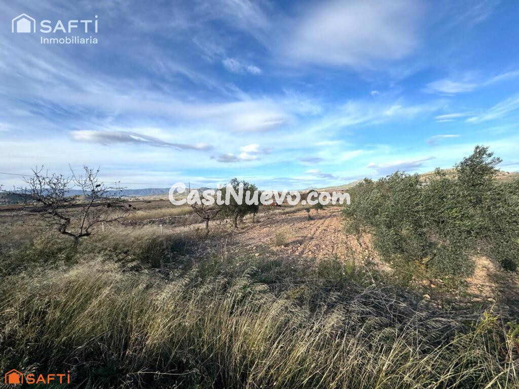 EXCLUSIVA OPORTUNIDAD – PARCELAS RÚSTICAS EN CASAS DE SANCHIS (MONOVAR)