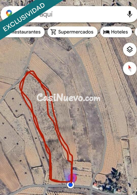 EXCLUSIVA OPORTUNIDAD  PARCELAS RSTICAS EN CASAS DE SANCHIS (MONOVAR)