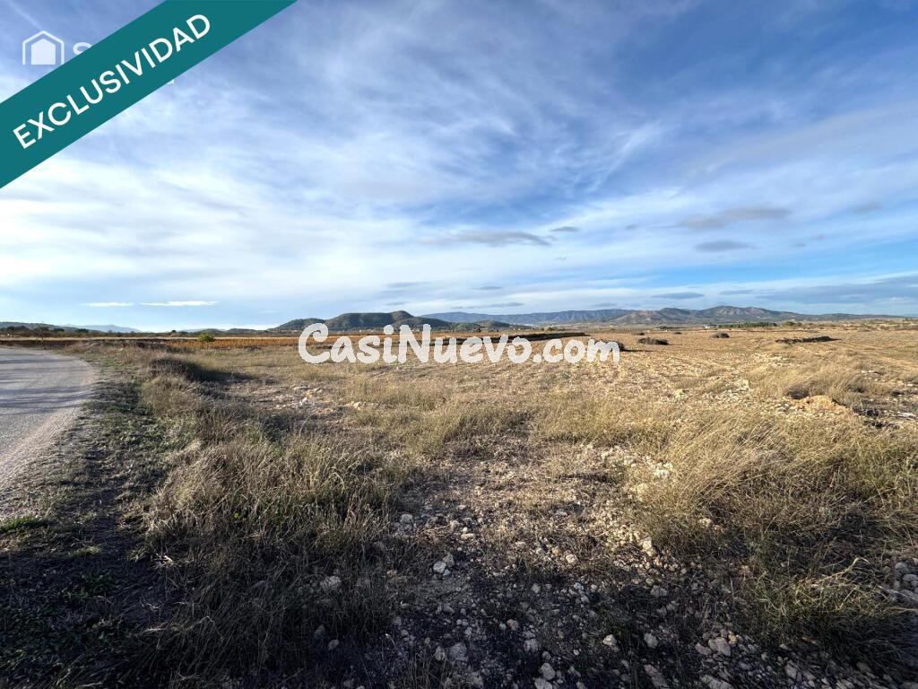 EXCLUSIVA OPORTUNIDAD  PARCELAS RSTICAS EN CASAS DE SANCHIS (MONOVAR)
