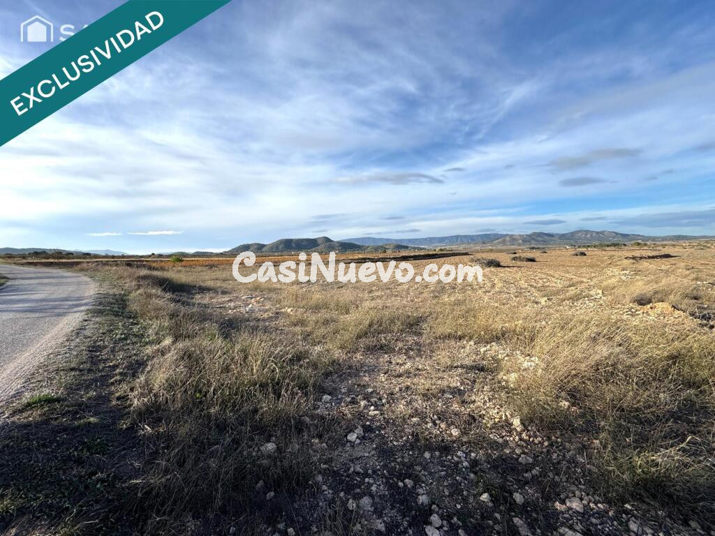 EXCLUSIVA OPORTUNIDAD – PARCELAS RÚSTICAS EN CASAS DE SANCHIS (MONOVAR)