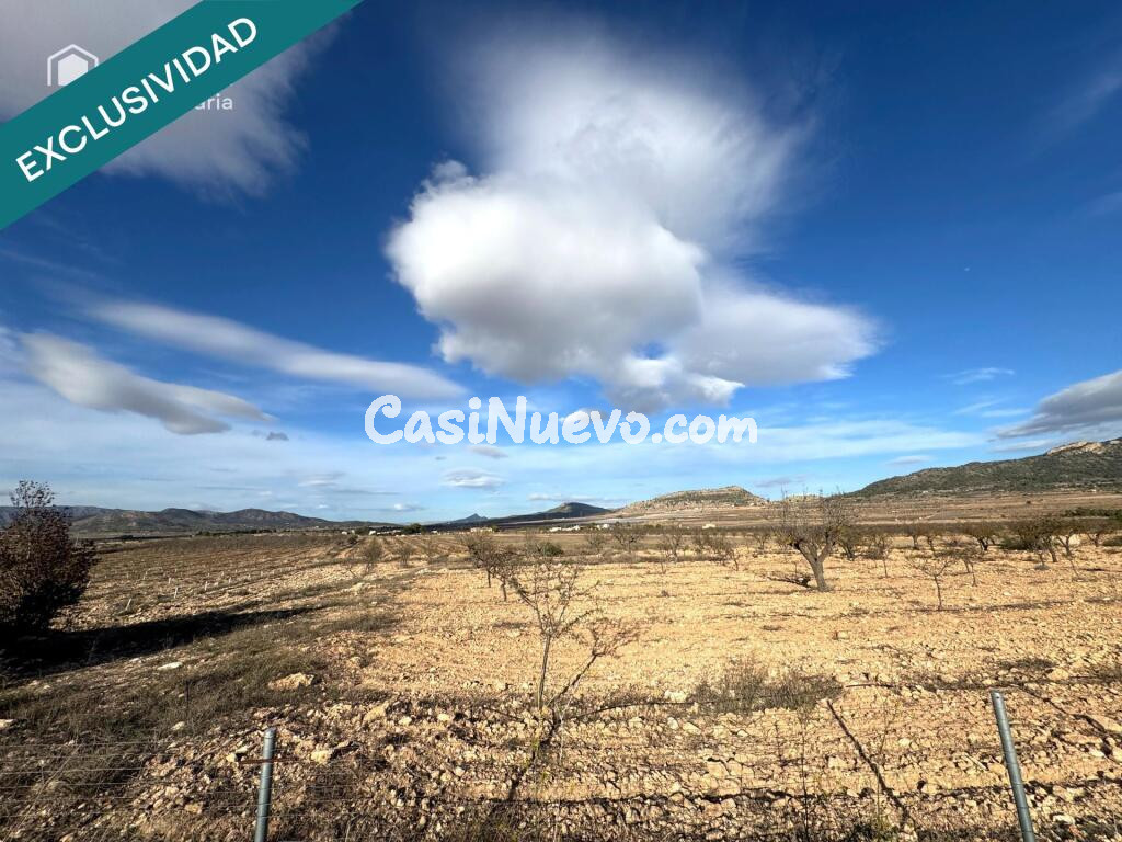 EXCLUSIVA OPORTUNIDAD – PARCELAS RÚSTICAS EN CASAS DE SANCHIS (MONOVAR)