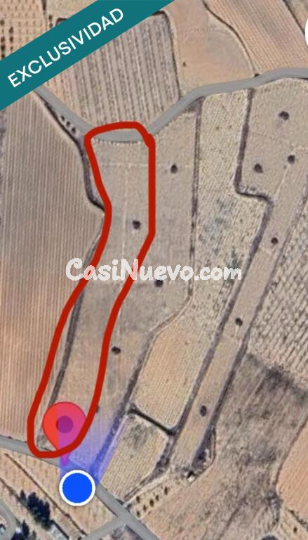 EXCLUSIVA OPORTUNIDAD – PARCELAS RÚSTICAS EN CASAS DE SANCHIS (MONOVAR)