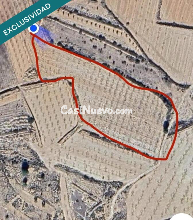 EXCLUSIVA OPORTUNIDAD – PARCELAS RÚSTICAS EN CASAS DE SANCHIS (MONOVAR)