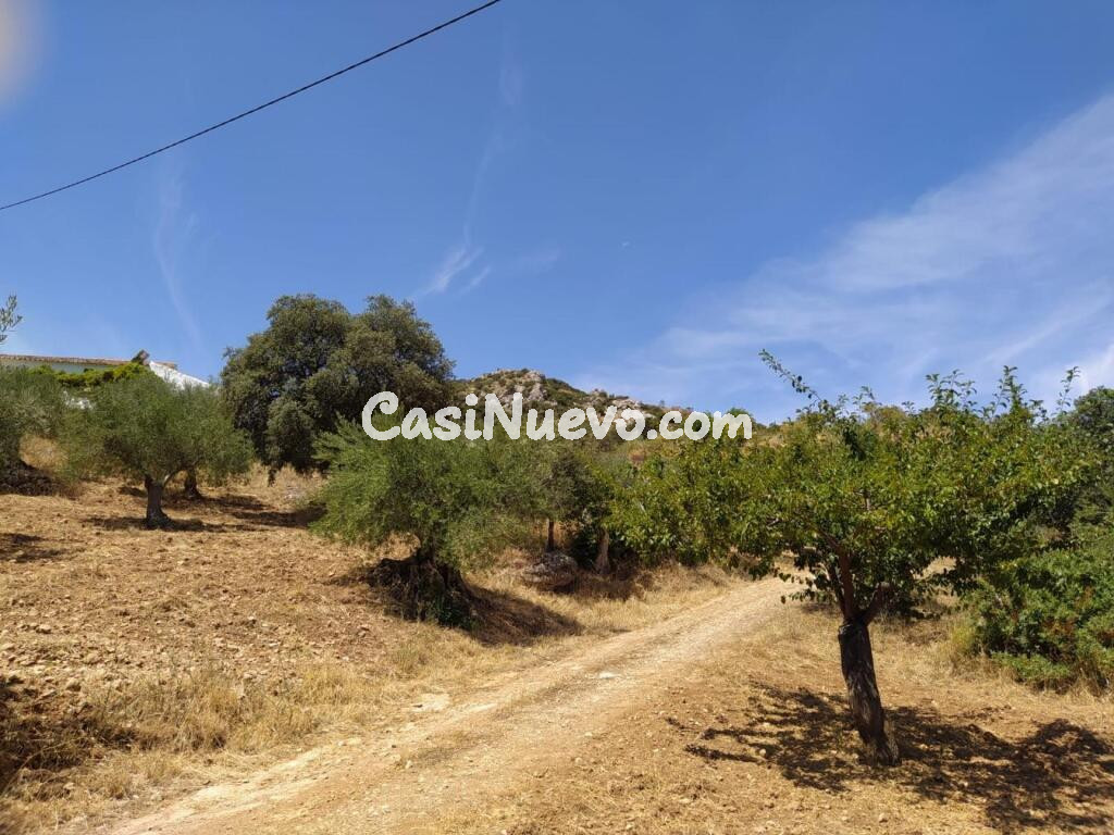 Finca (130hc) en Ardales junto al Caminito del Rey
