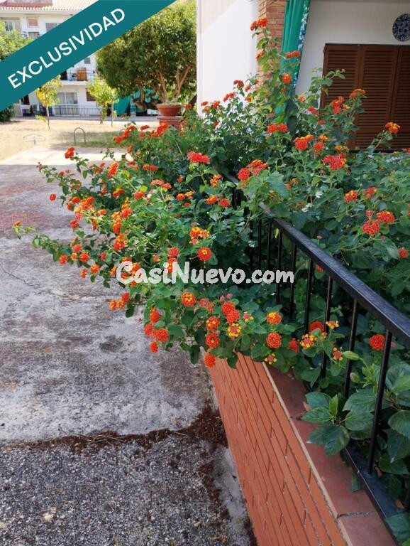 Cerca del mar, lejos del ruido