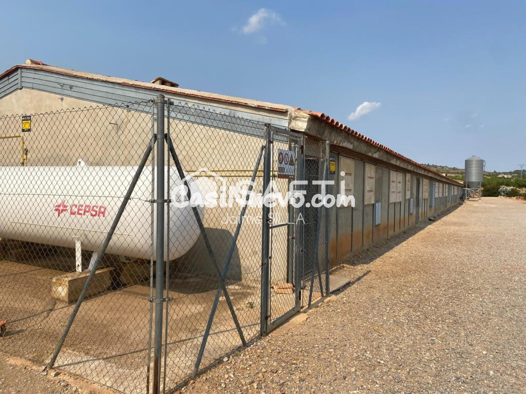 Nave de 1.500 m² con luz, agua a1 km de Alcublas