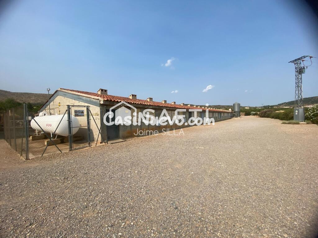 Nave de 1.500 m² con luz, agua a1 km de Alcublas