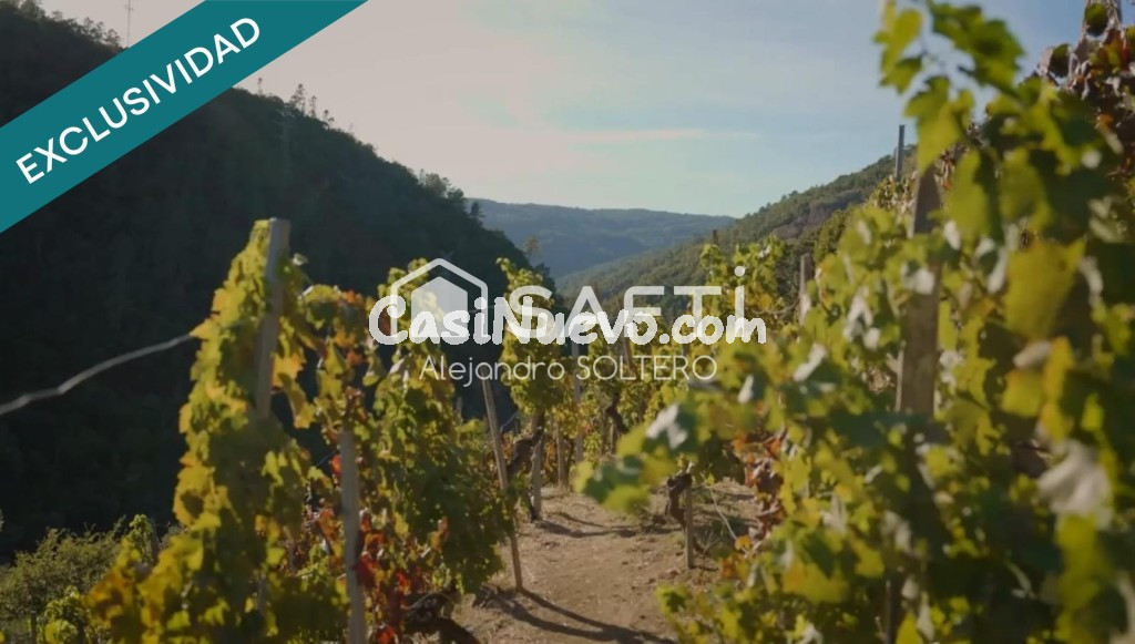 Galicia autntica: invierte en paraso natural.