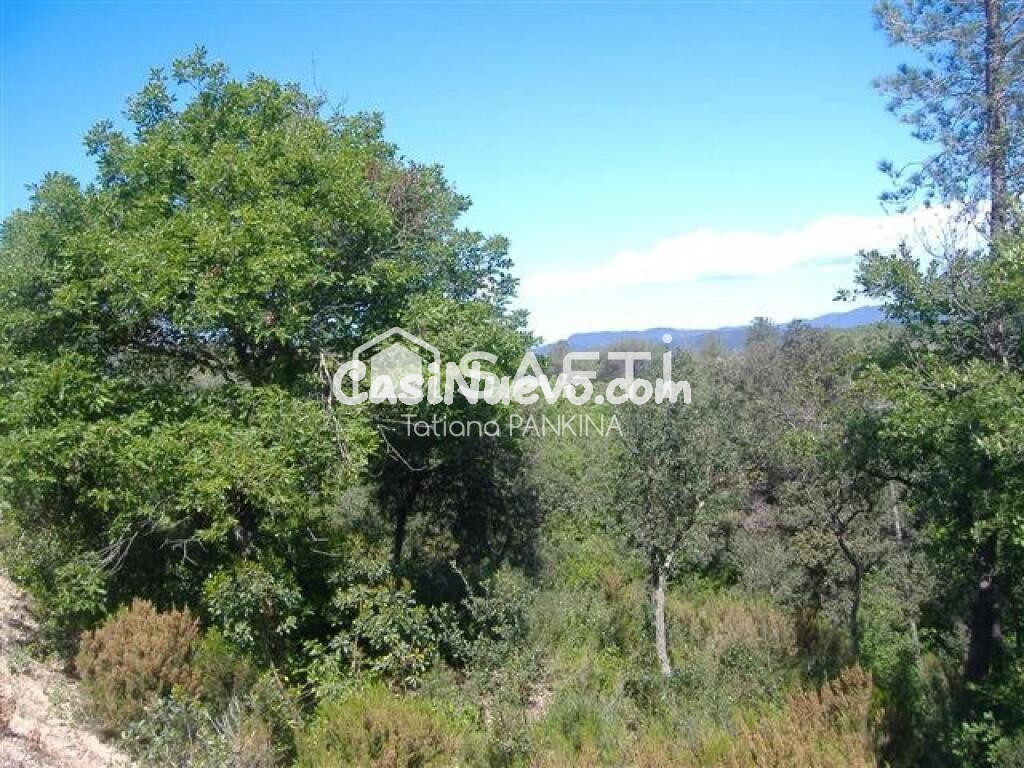 Venta de terreno en Fogars de la Selva.