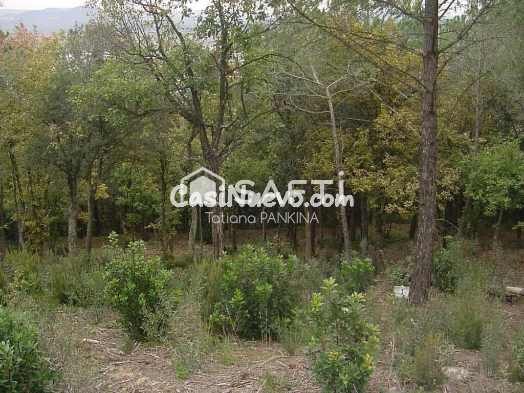 Venta de terreno en Fogars de la Selva.