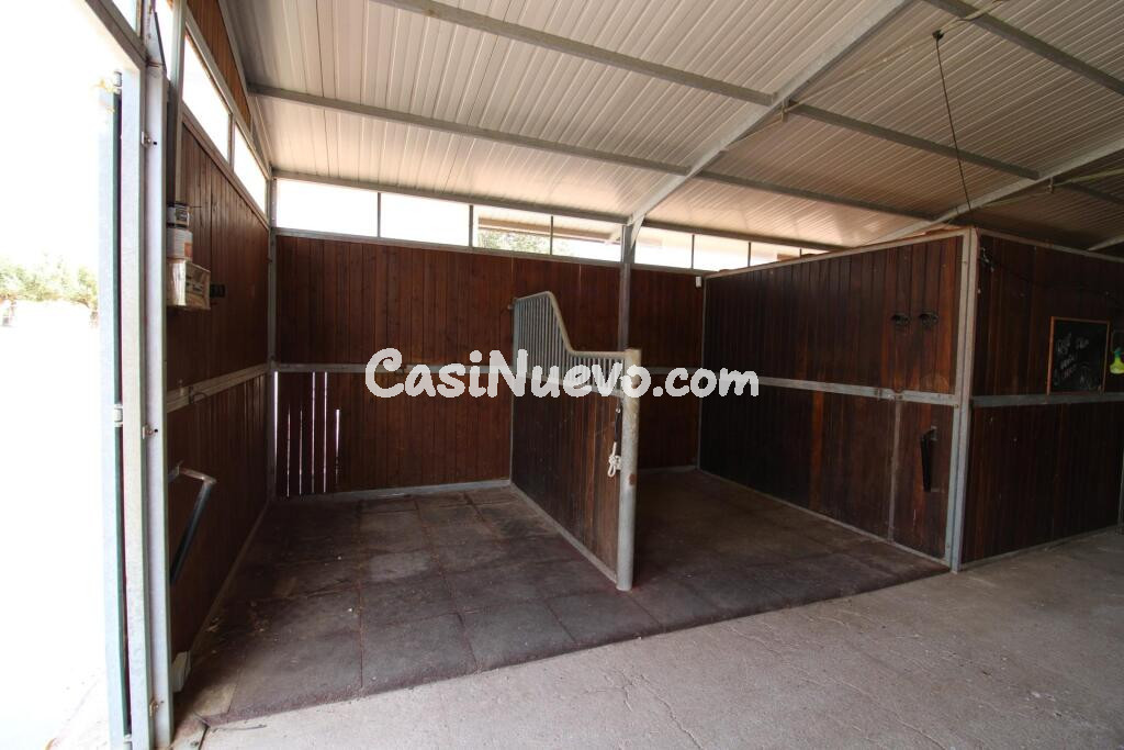 Terreno hipica en Almenara