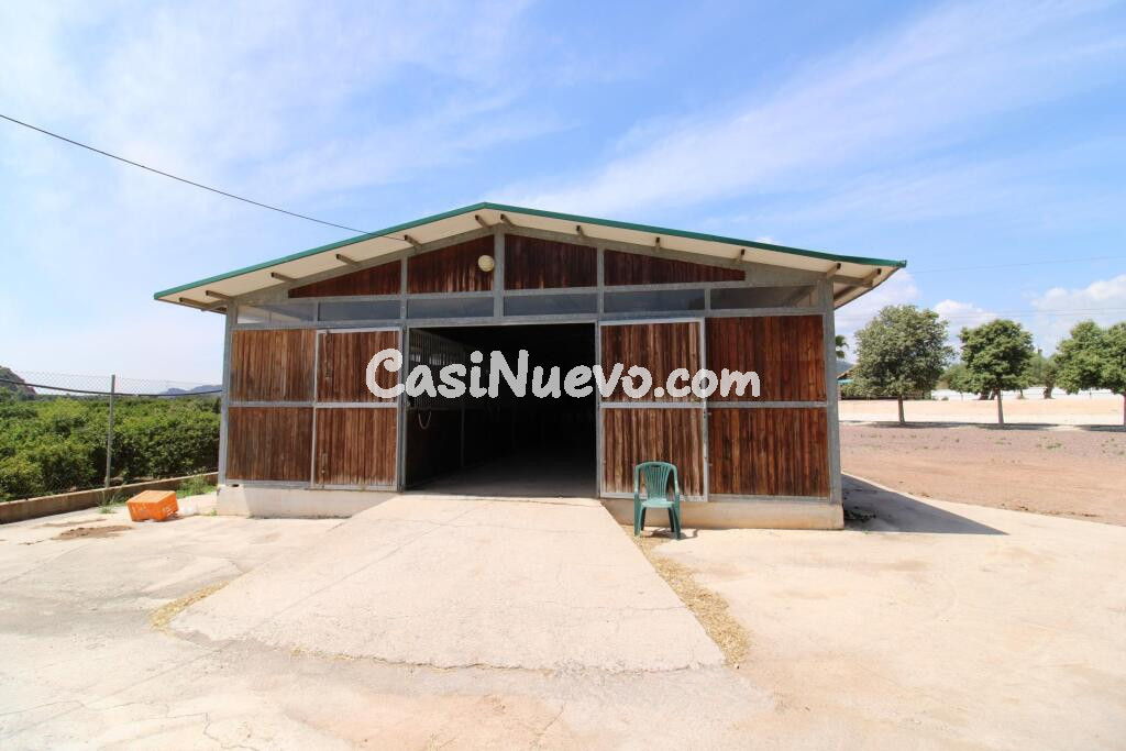 Terreno hipica en Almenara