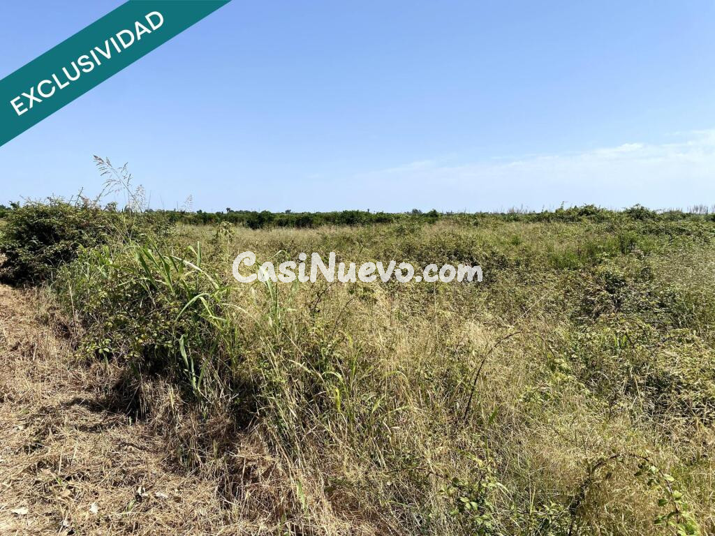 Terreno agrícola con encanto en Riola