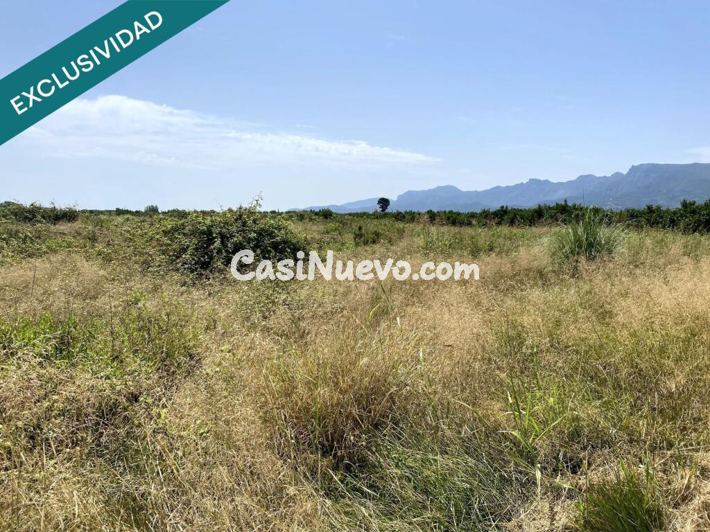 Terreno agrícola con encanto en Riola