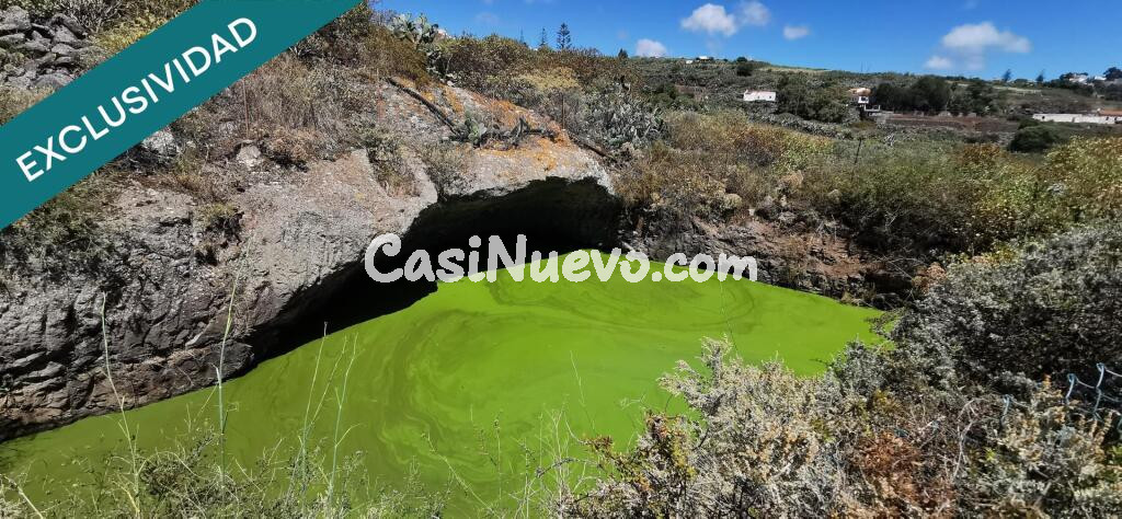 SE VENDE BONITA FINCA RÚSTICA EN LO BLANCO (SAN JOSÉ DEL ÁLAMO)