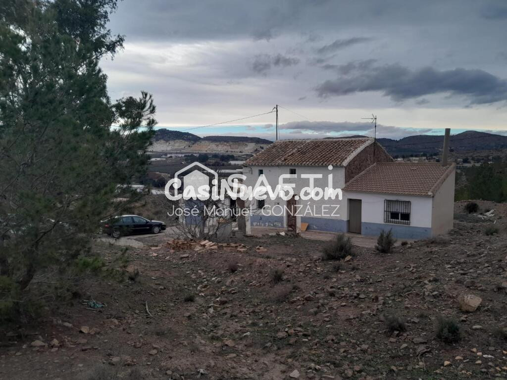 ¡Disfruta de la tranquilidad del bosque!