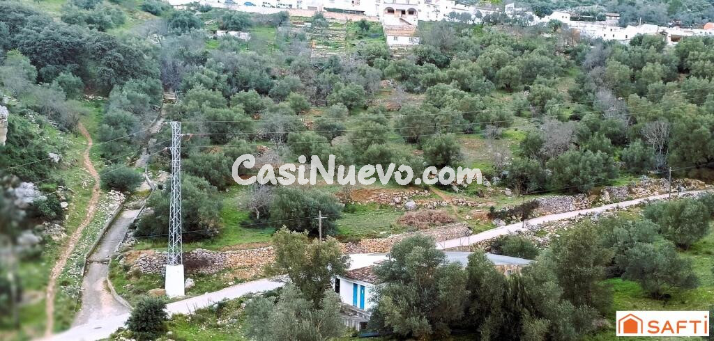 El terreno ideal para tu proyecto rural en la Serrana de Ronda