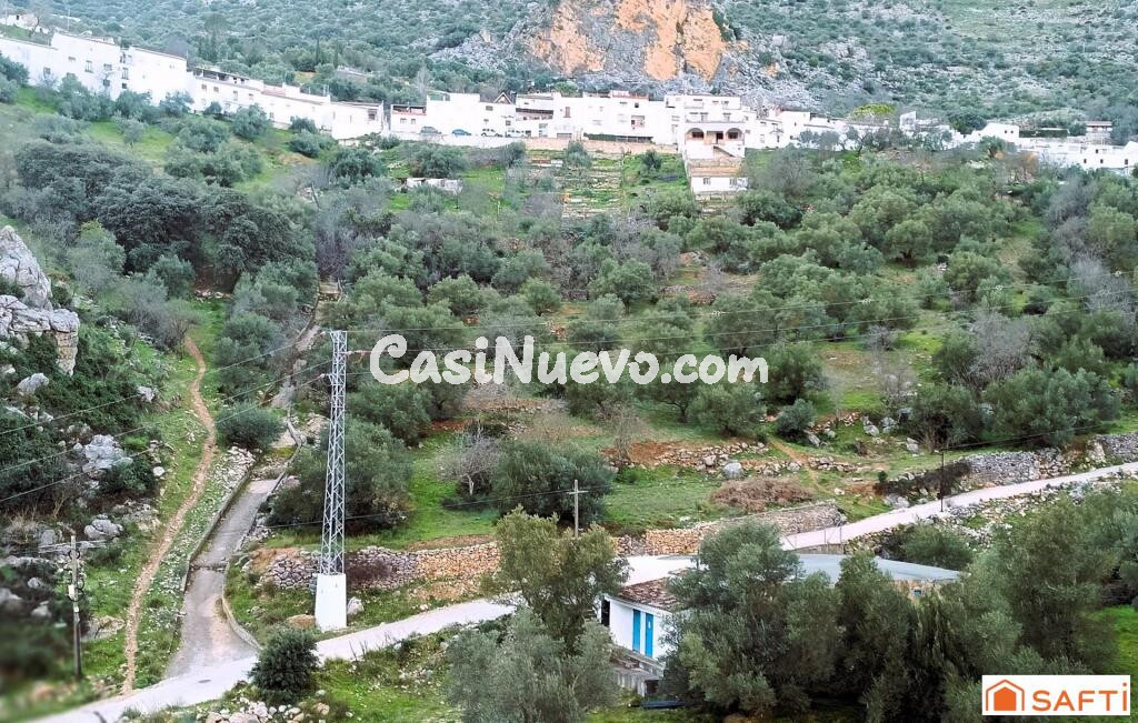 El terreno ideal para tu proyecto rural en la Serrana de Ronda