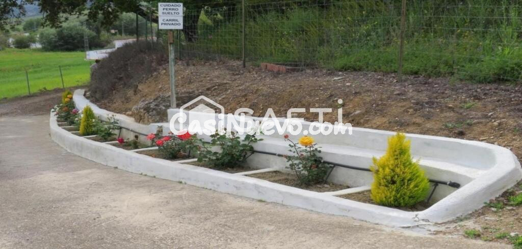 ¡Oportunidad única! oferta finca rústica con vivienda y piscina en Ronda