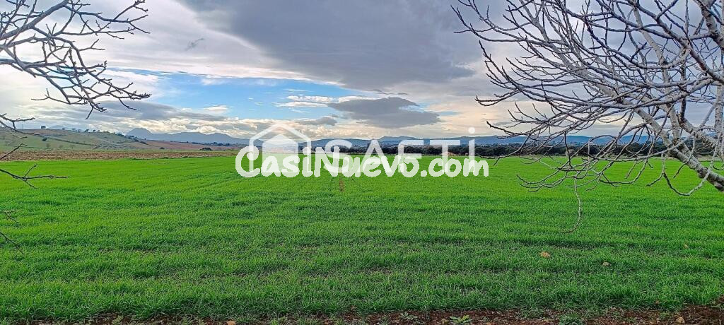 Gran finca de 59.000 m con vivienda y almacenes