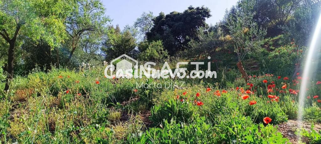 Tu refugio en la sierra, con terreno y muchas posibilidades!
