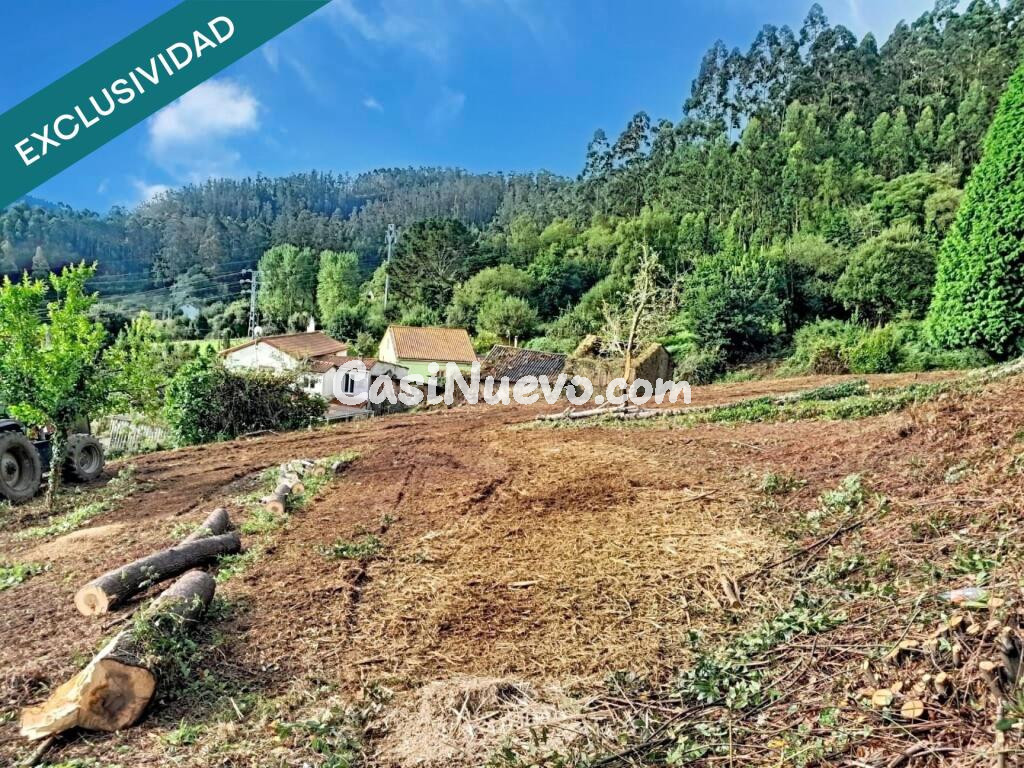 Casa Tradicional de Piedra para Reformar en Ortigueira (Galicia) con Amplia Finca de 2.600 m²