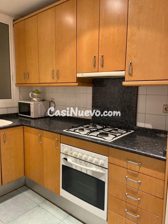 Piso en Alquiler en Barcelona Barcelona EIXAMPLE ESQUERRA