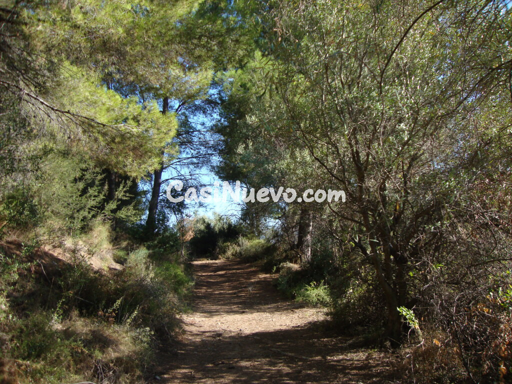 Suelo rústico en Venta en Callosa d En Sarria Alicante