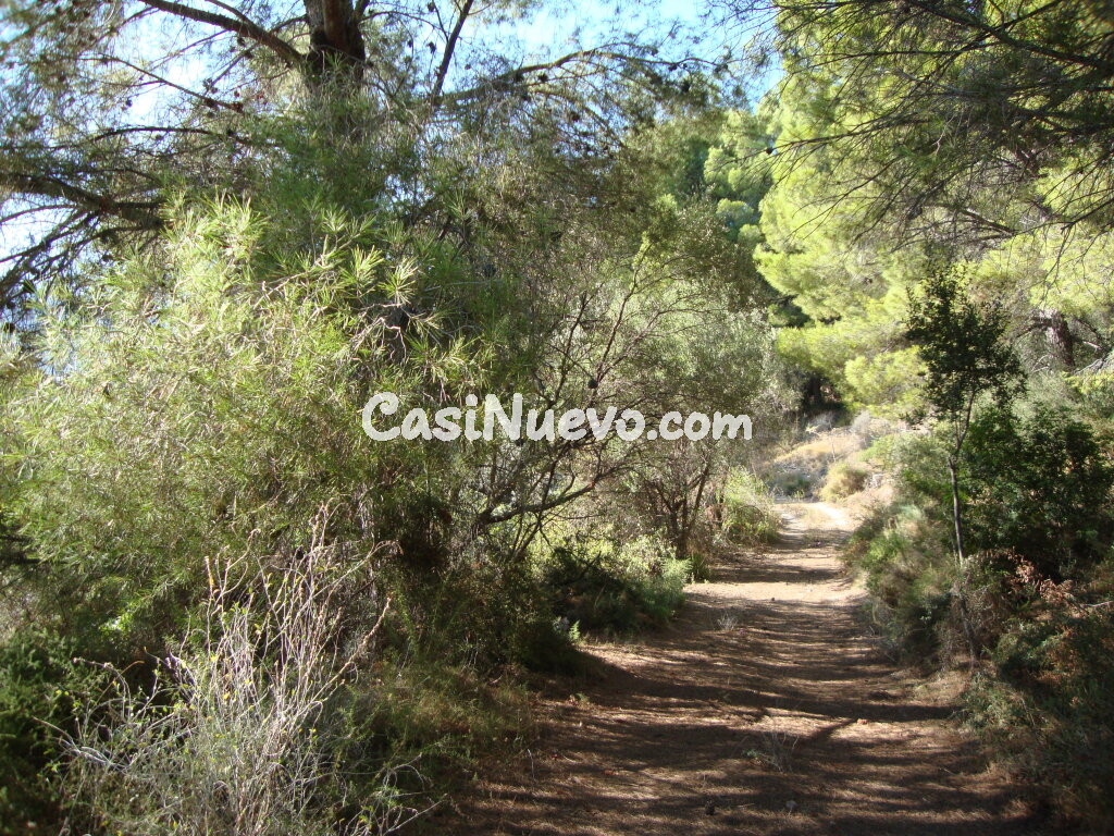 Suelo rústico en Venta en Callosa d En Sarria Alicante