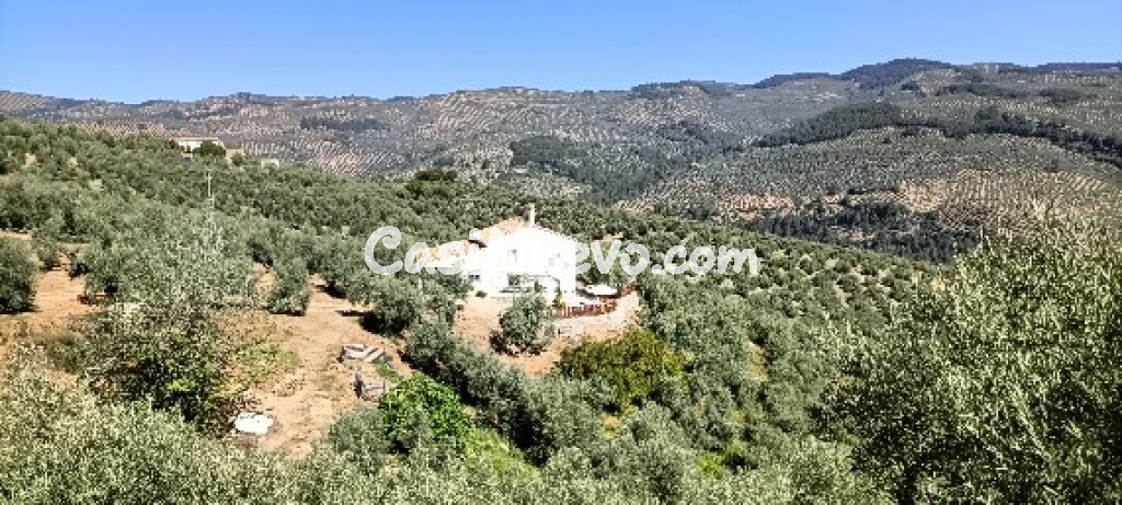 Trastero en Venta en Villanueva Del Arzobispo Jaén