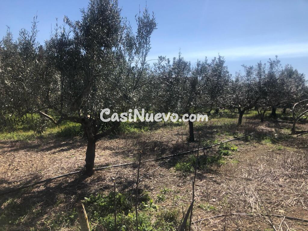 Suelo urbanizable en Venta en Olite Navarra