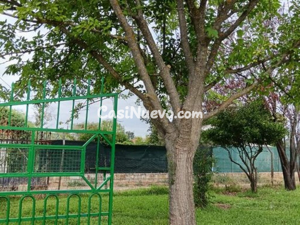 Casa-Chalet en Venta en Belvis De Monroy Cáceres