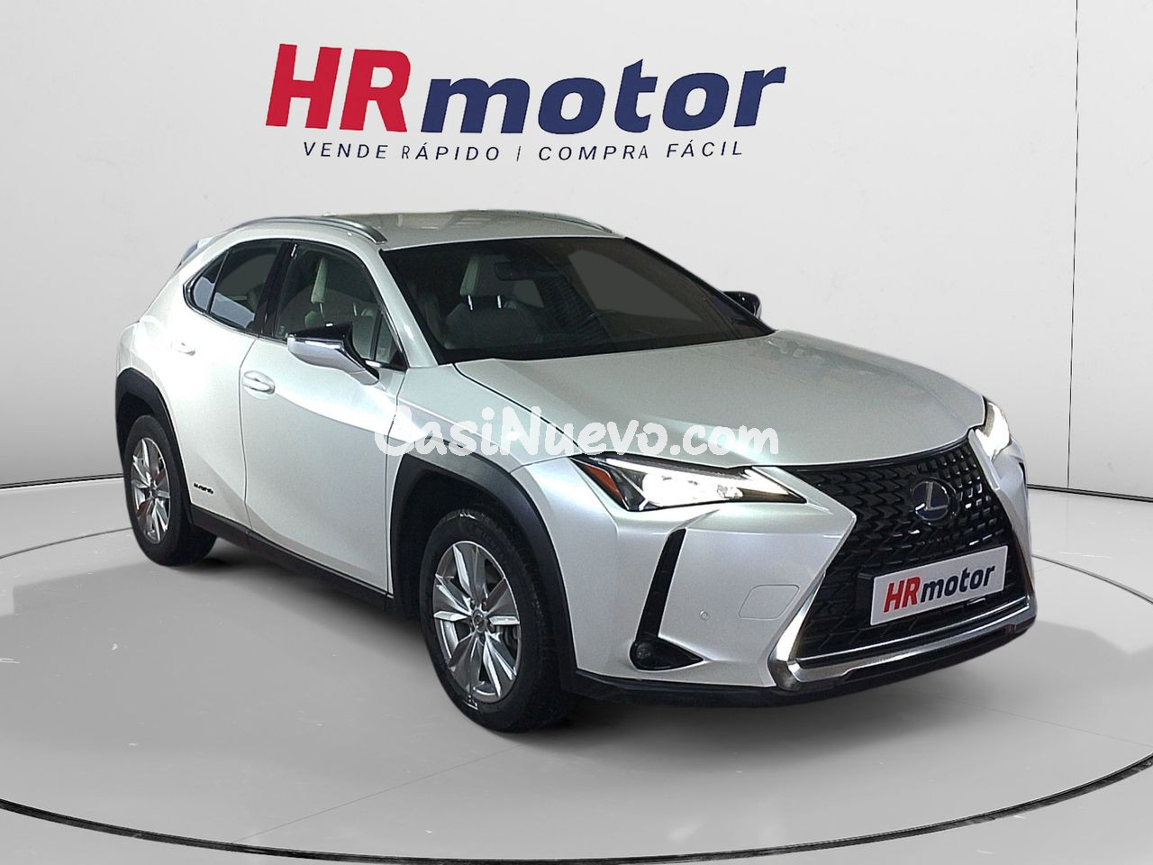Lexus UX 250 h Budiness