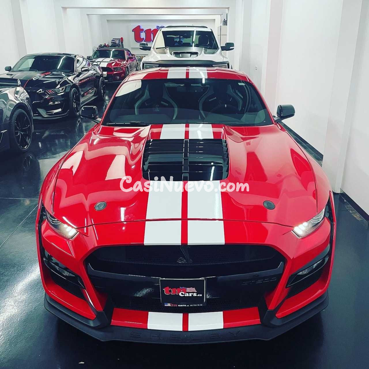 Ford Mustang Ford Mustang GT500 golden ticket!!