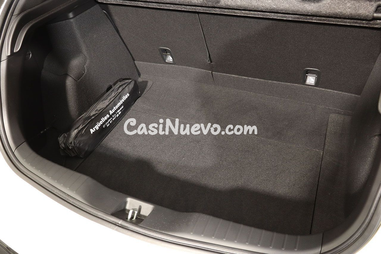 Honda Civic Type R GT White Edition 310cv NUEVO - foto 25