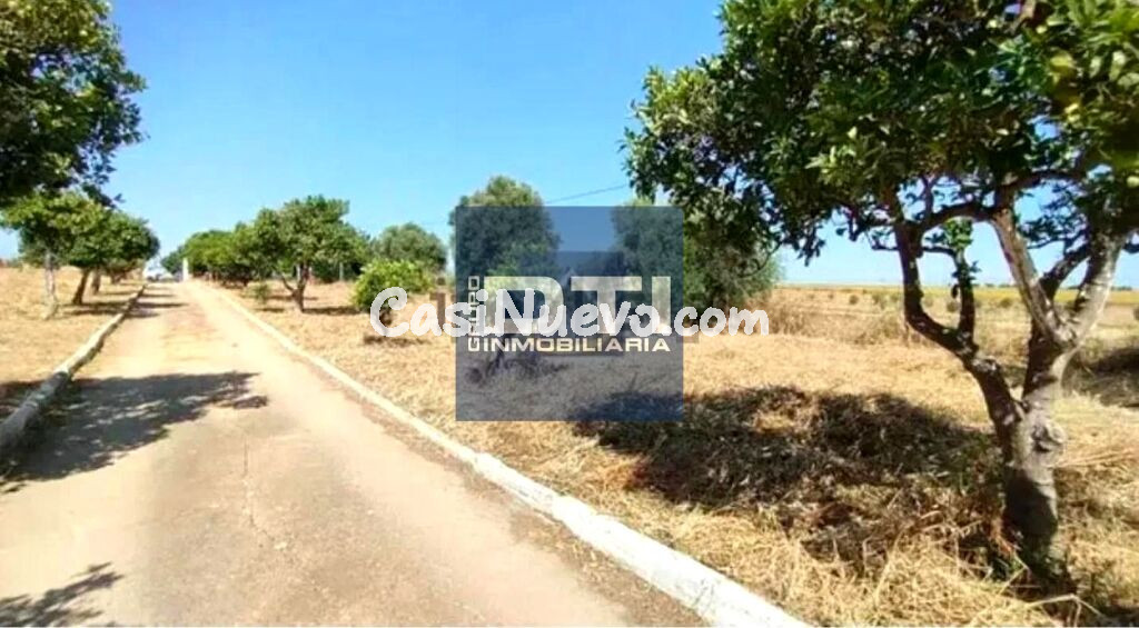 RFA.3001 ¡¡CASA DE CAMPO EN VENTA, SAN JUAN DEL PUERTO!!  DTI INMOBILIARIA.org