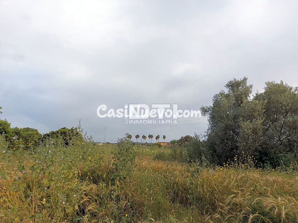 Parcela en San Bartolomé de la Torre a sólo 2Km del pueblo