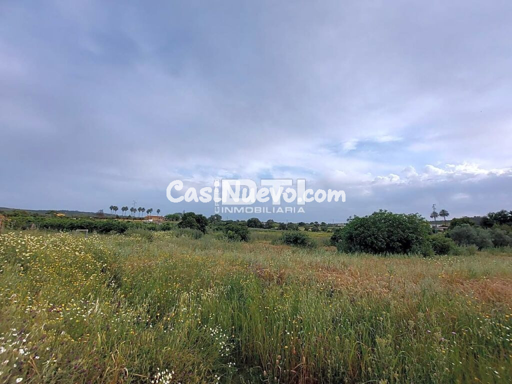 Parcela en San Bartolomé de la Torre a sólo 2Km del pueblo