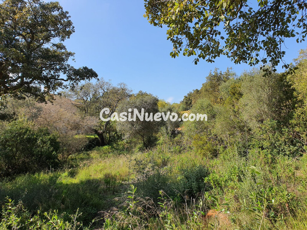 Solar residencial en Venta en Sotogrande Cádiz